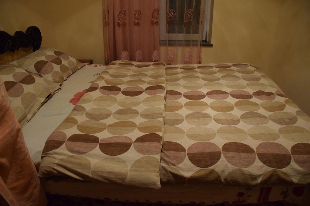 Medico And Suliko Guest House Kutaisi Exterior photo